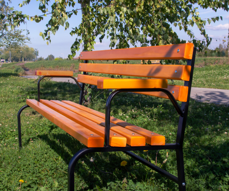 Bancă exterior 162 cm cu spătar și cotiere LAVANDĂ | Metal și lemn [7]