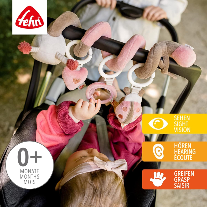 Spirala Activitati Fehn Buburuza [4]