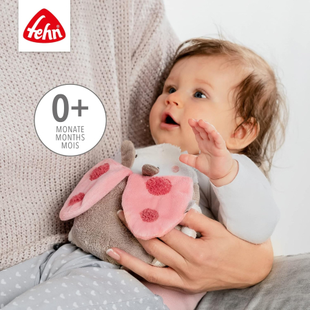 Pernuta anticolici cu samburi de cires Fehn buburuza [2]