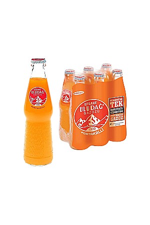 Racoritoare - Uludağ Gazoz Orange 250 ML