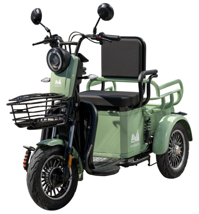 Triciclu-electric [1]