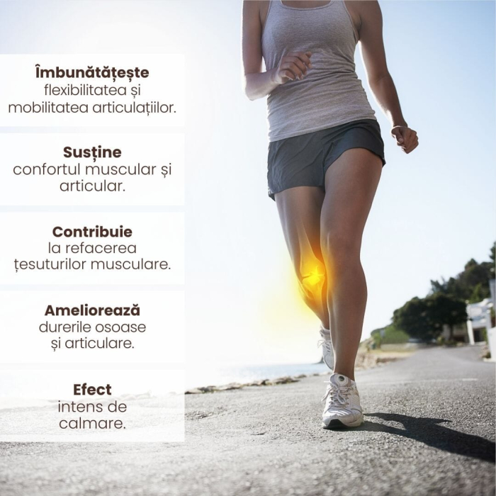 RECUPERARE SI MOBILITATE [5]