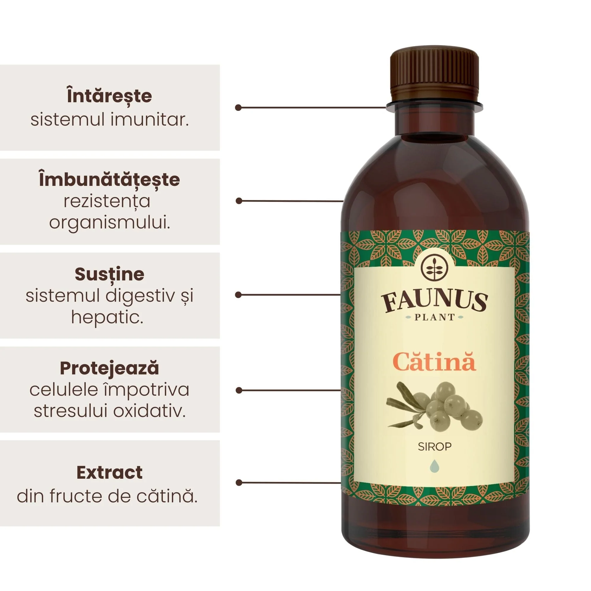 Cătină - Sirop. Flacon [2]