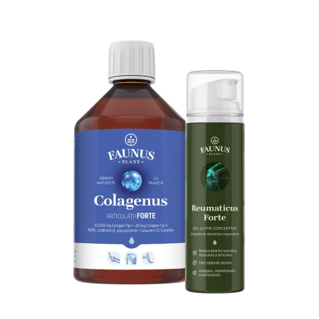 SUPLIMENTE ALIMENTARE - RECUPERARE SI MOBILITATE