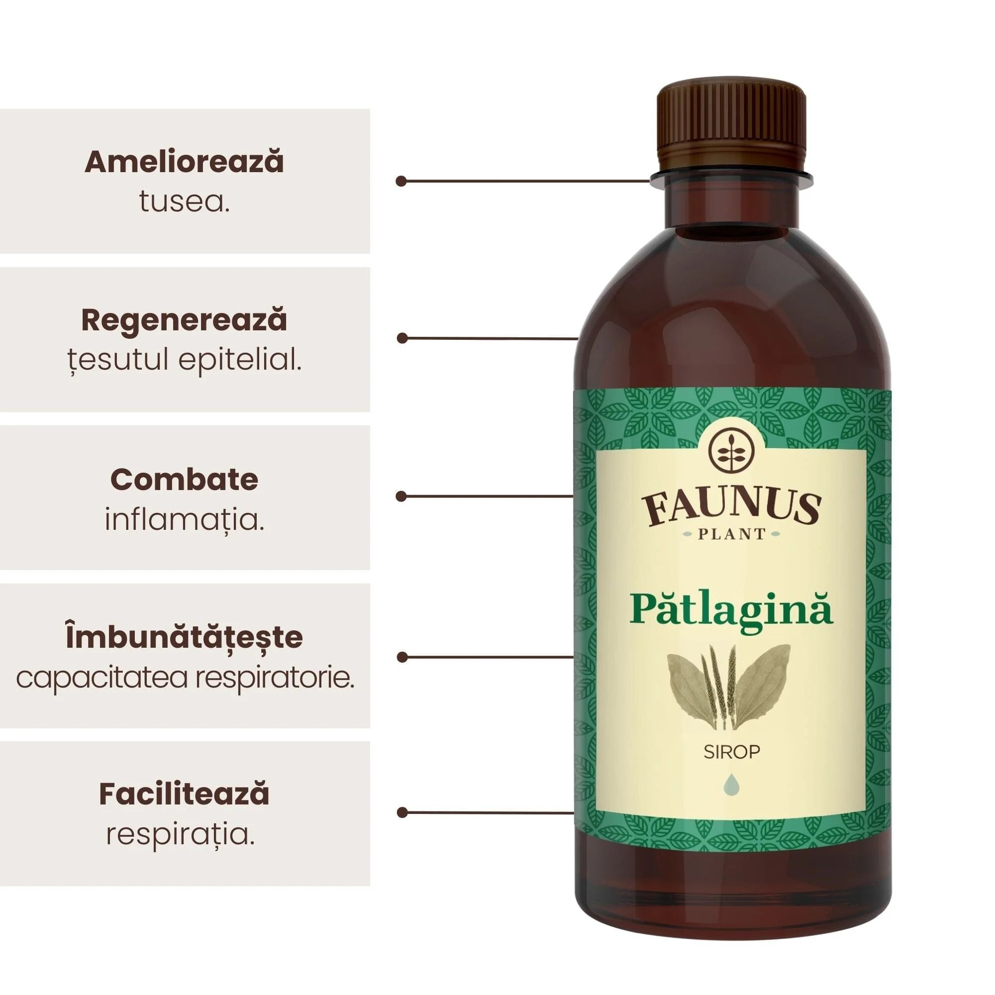 Pătlagină - Sirop. Flacon 200ml [1]