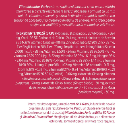 Vitaminizantus Forte Flacon 90 capsule [2]