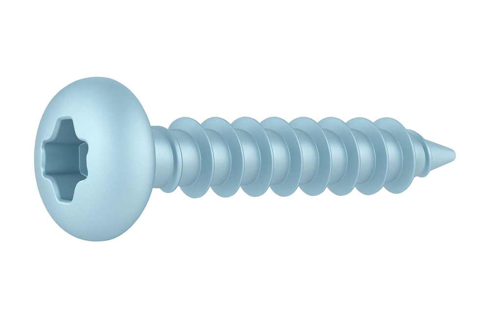 Surub pal si lemn cap bombat TORX  5x60 otel zincat alb - cutie 200 buc [2]