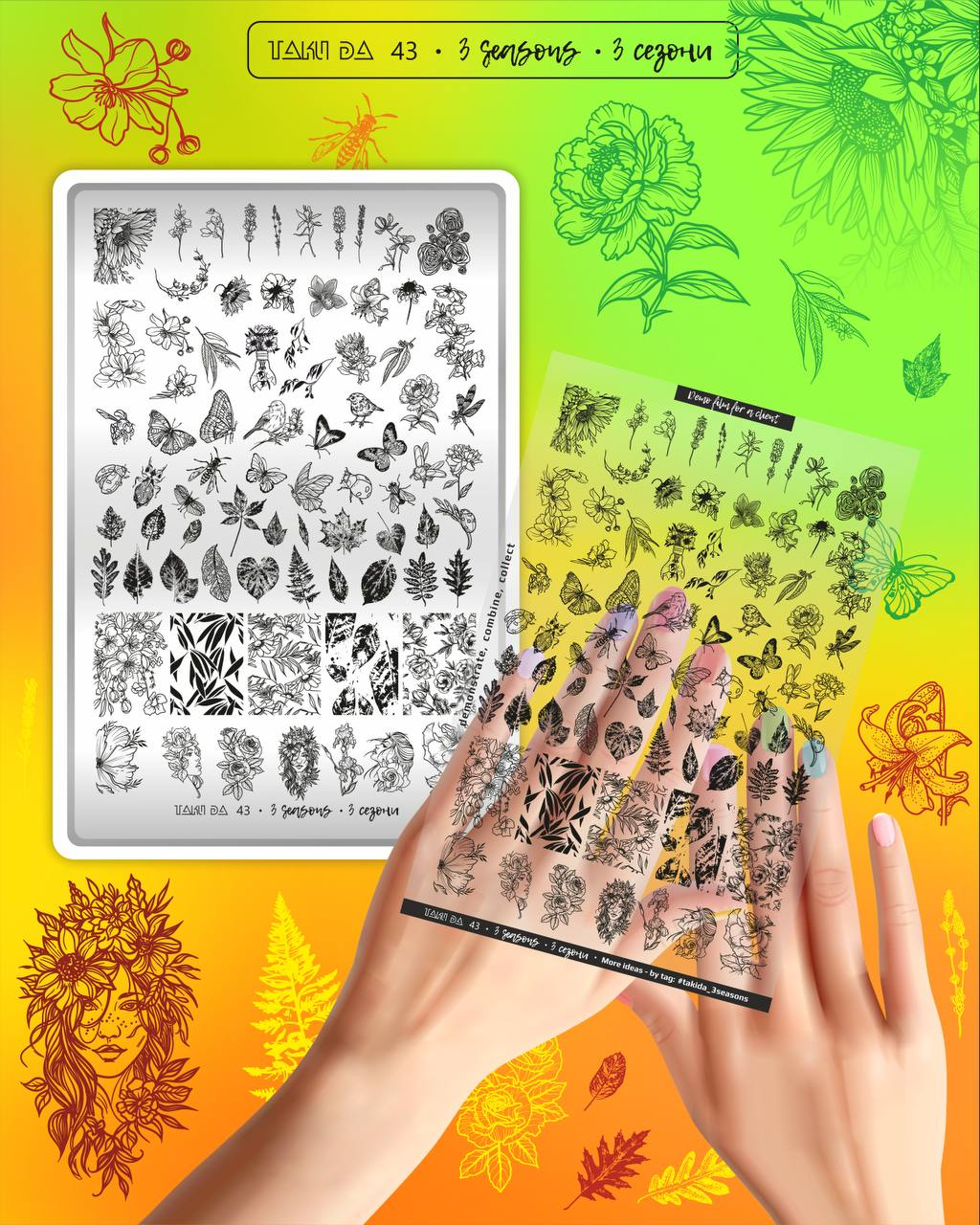 Matrita Nr. 43 3 Seassons [1]