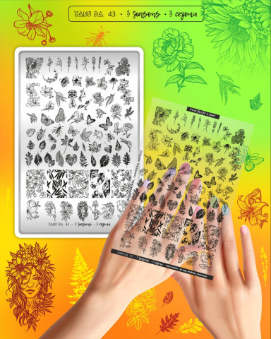 TakiDa - Matrita Nr. 43 3 Seassons