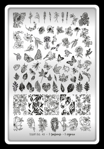 Matrita Nr. 43 3 Seassons [1]