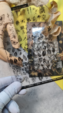 Matrita Nr. 43 3 Seassons [2]