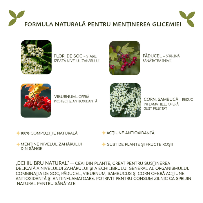 Ceai „Echilibru natural” 25 pliculete [5]