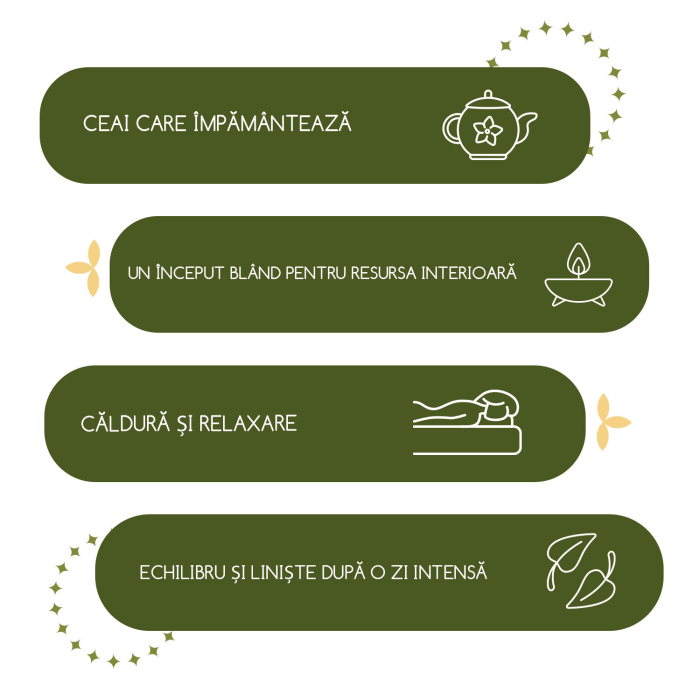 Ceai „Prospețime de seară”  25 pliculete [2]