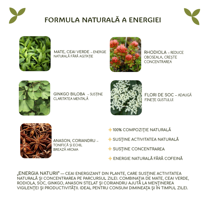 Ceaiul „Energia Naturii” 25 pliculete [3]