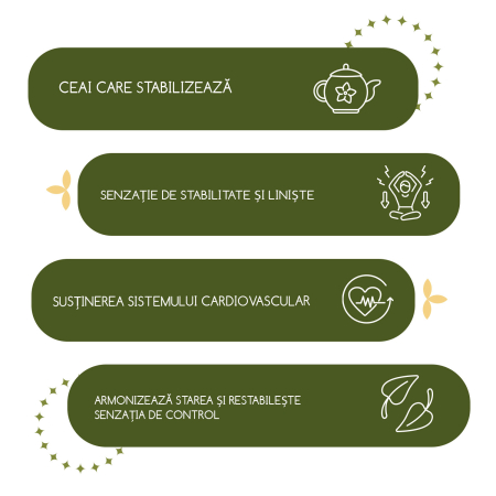 Ceai „Echilibru natural” 25 pliculete [3]