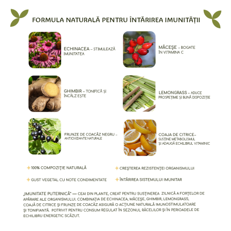 Ceai „Imunitate puternică” 25 pliculete [4]