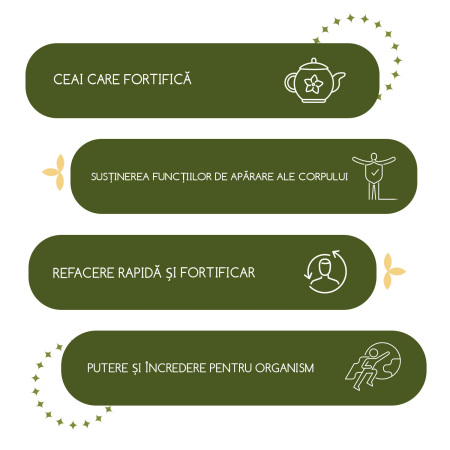 Ceai „Imunitate puternică” 25 pliculete [3]