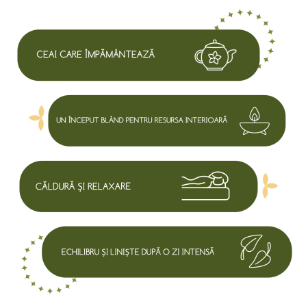 Ceai „Prospețime de seară”  25 pliculete [1]