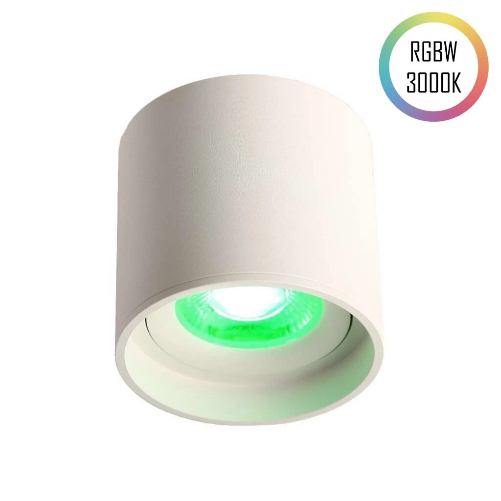 LED Ceiling Spot 24V, 8W, RGBW/3000K, CRI90 [1]