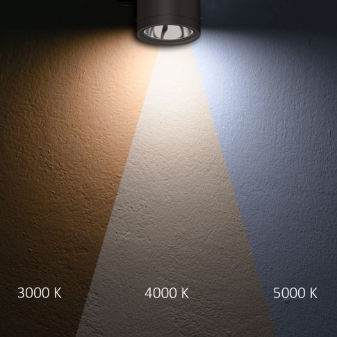 LED Spot Plafon Aplicat Exterior IP65, 10W, ColorSwitch 3000K/4000K/5000K, Dimabil, Negru [2]