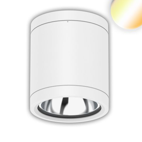 Spot LED aplicat pe tavan, IP65, 10W, ColorSwitch 3000K/4000K/5000K, dimabil, alb [1]