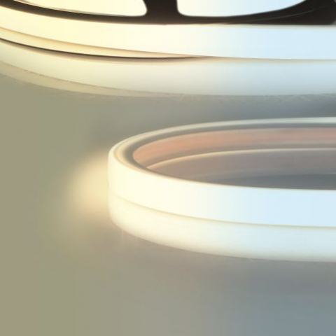 Benzi LED RGB/RGBW/CCT - Bandă LED NEON919/950 CCT Flex Stripe B13H10 pentru profile de plăci, 24V DC, 6W+6W, IP67, lungime 300cm, 240 LED/m