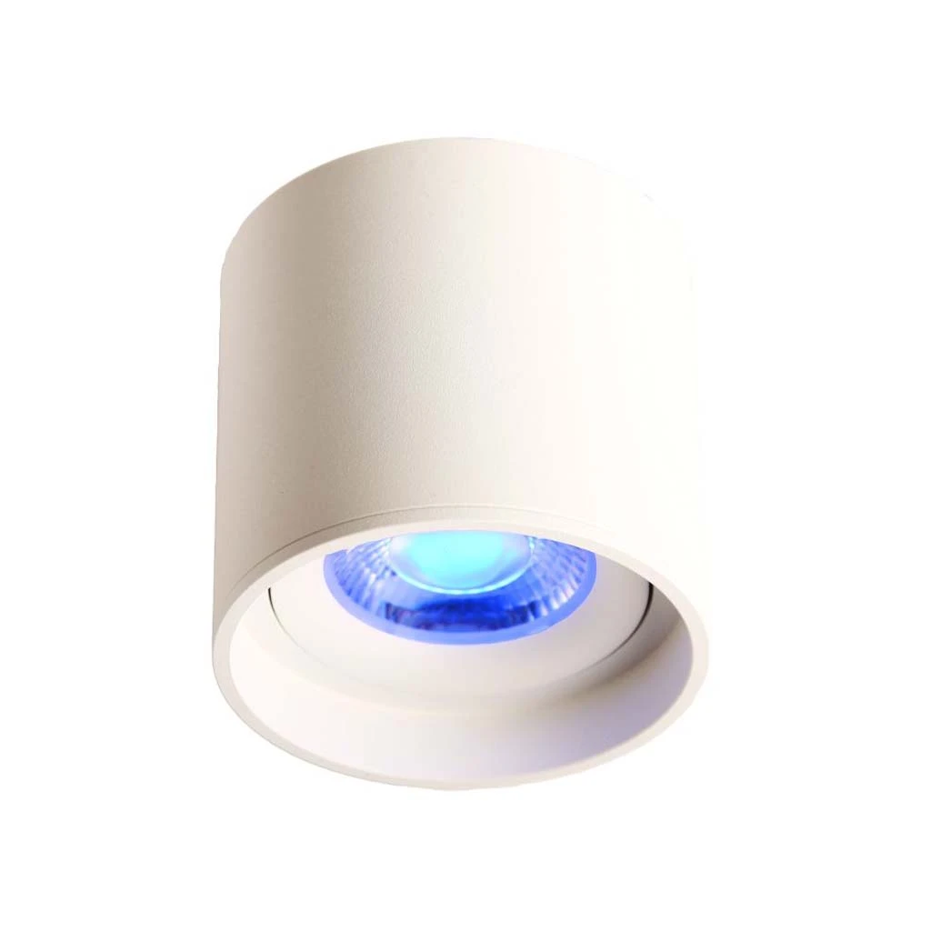 LED Ceiling Spot 24V, 8W, RGBW/3000K, CRI90 [1]