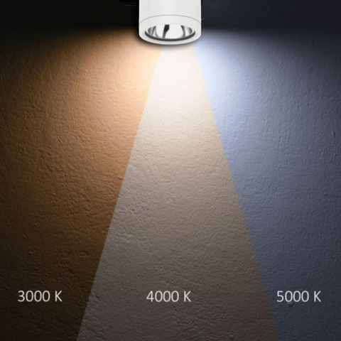 Spot LED aplicat pe tavan, IP65, 10W, ColorSwitch 3000K/4000K/5000K, dimabil, alb [1]