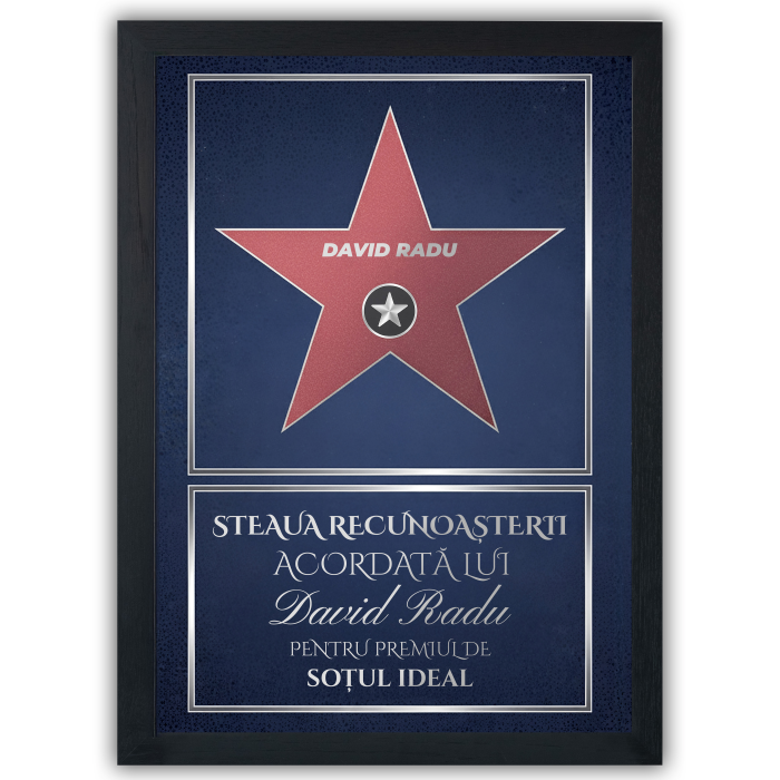 Steaua Recunoștinței – Hollywood Walk of Fame [3]