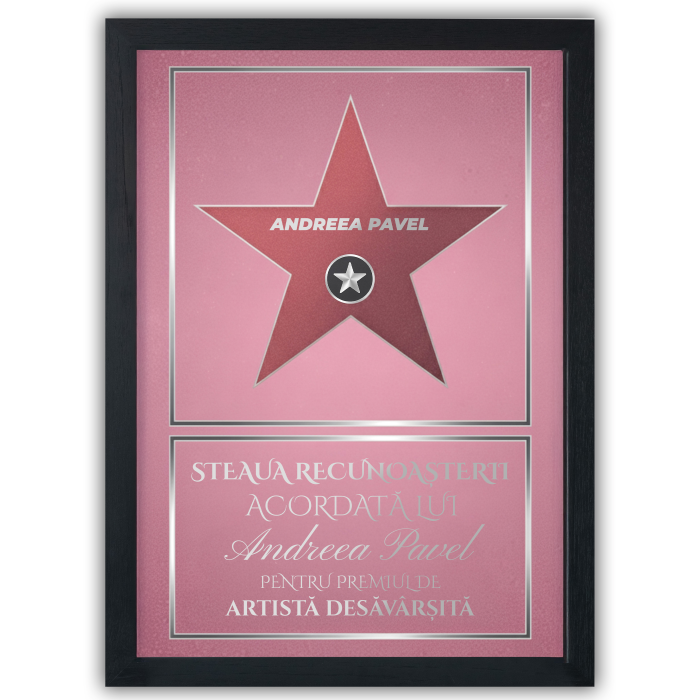 Steaua Recunoștinței – Hollywood Walk of Fame [2]