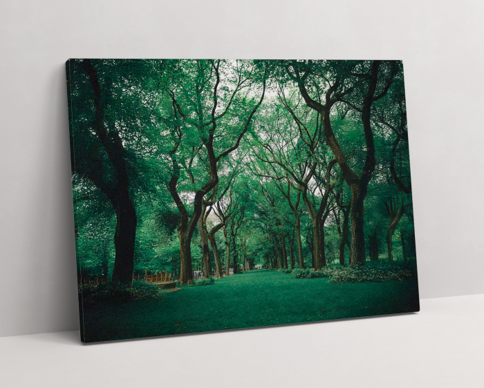 Tablou standard – canvas decor [1]