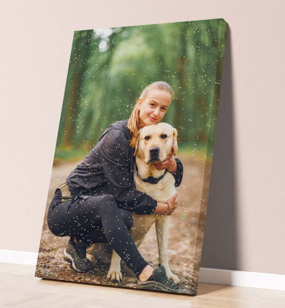 Tablou - Sclipici Subtil - Praf de Stele [1]