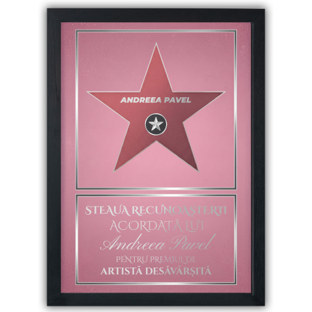 Steaua Recunoștinței – Hollywood Walk of Fame [1]