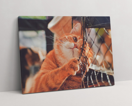 Tablouri Standard - Tablou standard – canvas decor