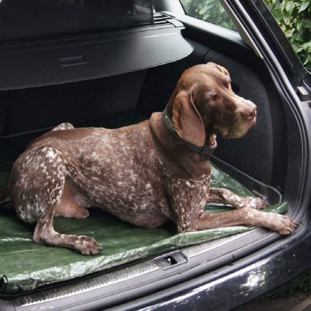 Prelata Impermeabila cu ochiuri metalice de prindere, dimensiune 6,0m x 8,0m, densitate 120g/m2, culoare verde [2]