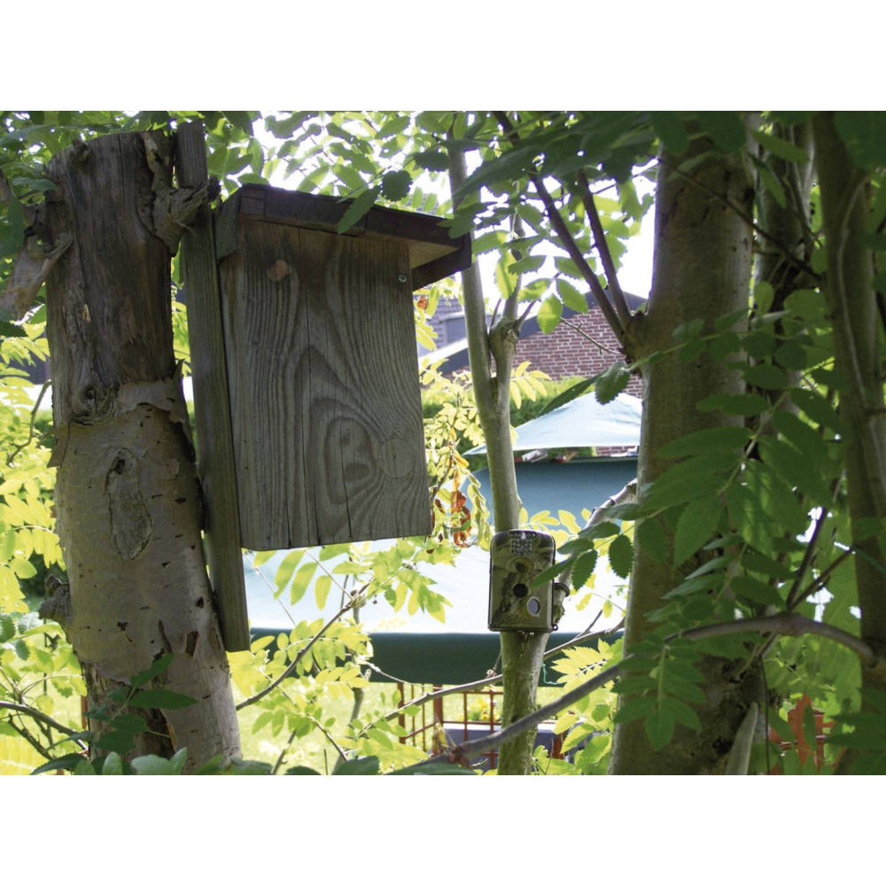 Cameră Wildlife Full HD 16 MP cu Black LEDs 940 nm – Berger & Schröter [4]