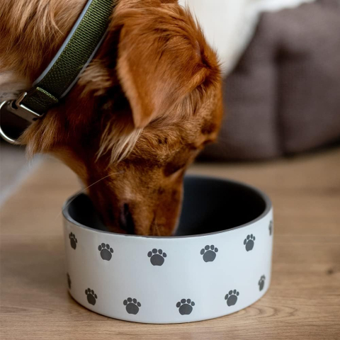 Bol Ceramic Câini Nobby PATA 18 cm – Crem/Gri, Suprafeț̦ă Mată [1]