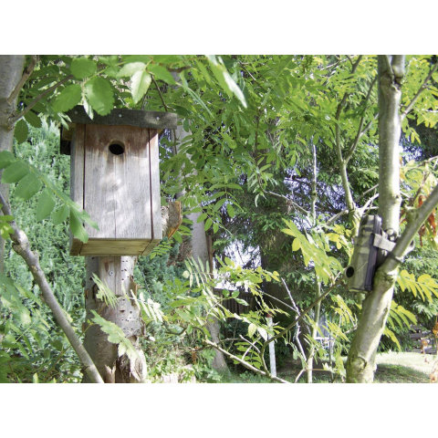 Cameră Wildlife Full HD 16 MP cu Black LEDs 940 nm – Berger & Schröter [4]