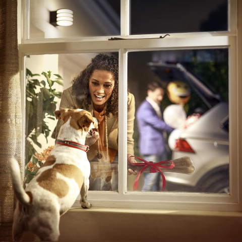 Lampă Exterior Smart LED, Lumină Caldă, IP44 | Philips Hue [2]