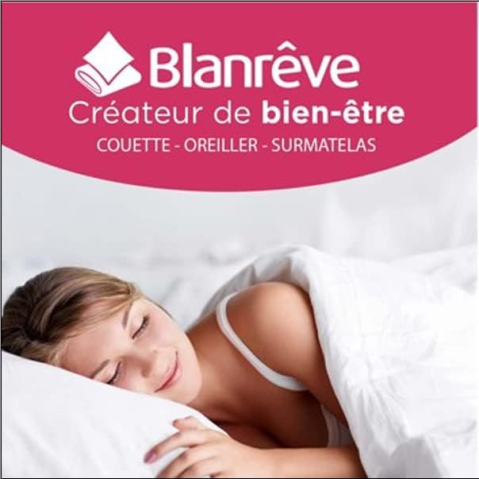 Pilotă Anti-Acarieni 140×200 cm – Blanrêve Sérénité 300 g/m², Fabricată în Franța [1]