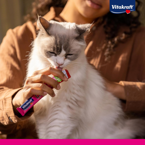 Vitakraft Liquid Snack Omega-3 cu Somon – 6 Plicuri, Snack Lichid Pisici [2]