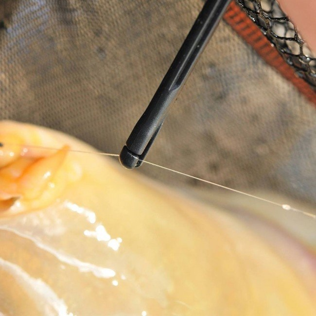 DEGORJOR GURU QM1 [4]