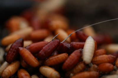 CARLIGE GURU GPS MICRO BARB, 10BUC/PLIC [7]