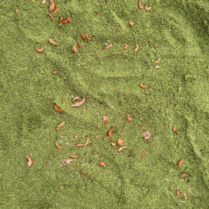 NADA APA RECE ICE SHRIMPS 1kg [2]