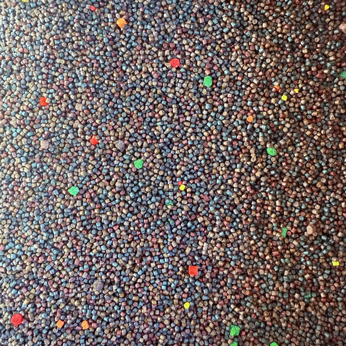 PELETE APA RECE CAPSUNA & LARVE LIBELULE 2-3mm 5kg + ACTIVATOR 250ml [3]