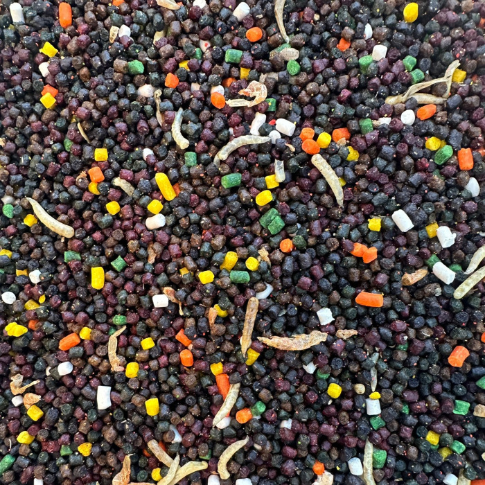 PELETE APA RECE LARVE LIBELULE MIX 2-3mm 1kg [2]