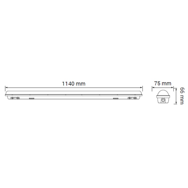 Corp LED Etans ORO BALI 50W IP65 [5]