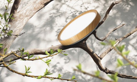 Plafonieră LED ORO OLMO 24W, lumină 4000K, Ø340 mm, design modern lemn [9]