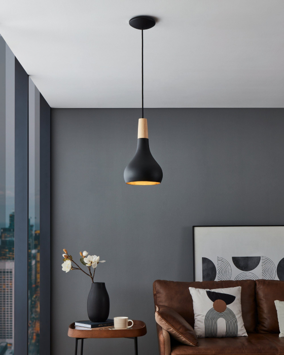 Pendul SABINAR E27 1X40W [2]