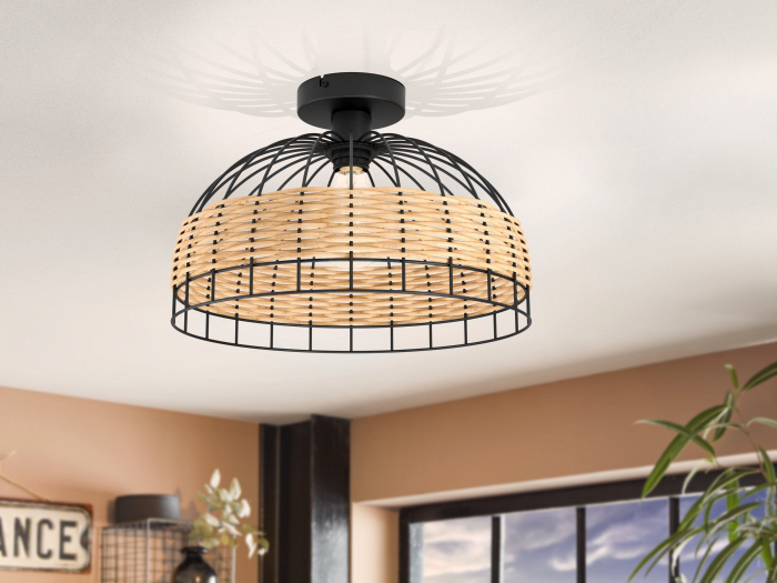 Plafoniera ANWICK E27 1X60W [2]
